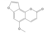 异佛手柑内酯(482-48-4)