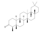 木栓酮（559-74-0）