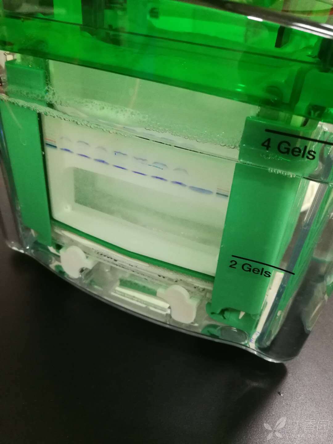 蛋白质和糖学 western blot/ip这个帖子发布于2年零355天前,其中的