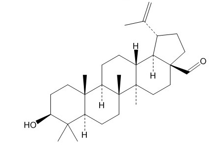白桦脂醛（13159-28-9）