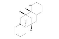 苦豆碱（56293-29-9）