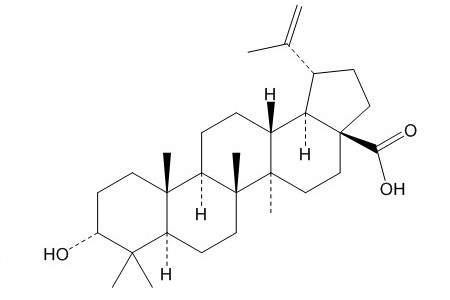 表白桦脂酸（38736-77-5）
