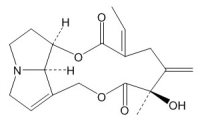 千里光菲灵碱(480-81-9)