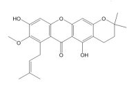 3-异倒捻子素（19275-46-8）