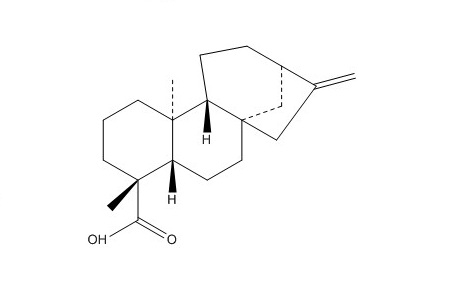 异贝壳杉烯酸（6730-83-2）