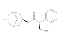 莨菪碱（101-31-5）