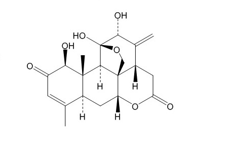 臭椿酮（981-15-7）