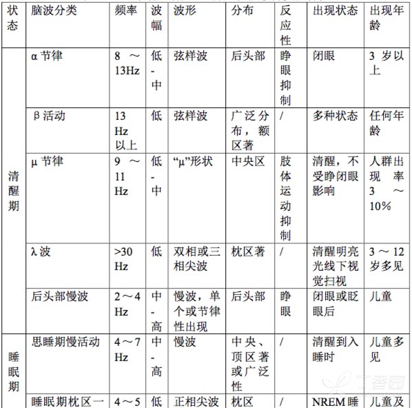 脑电图入门 基础知识汇总 神经内外 丁香园论坛