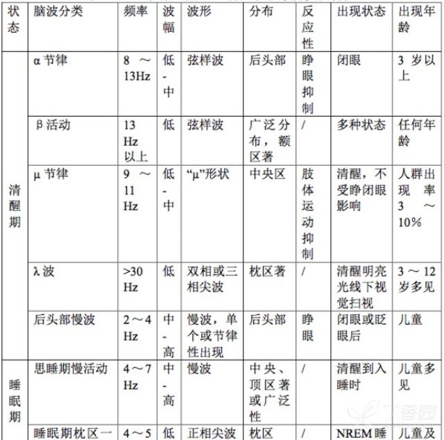 脑电图分析 神经内外 丁香园论坛 脑电图分析 神经内外 丁香园论坛