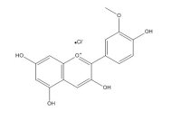 脱氧熊果苷(53936-56-4)