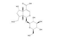车叶草苷酸(25368-11-0)