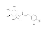 1-咖啡酰奎宁酸（1241-87-8）