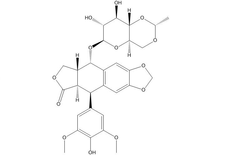 依托泊苷（33419-42-0）