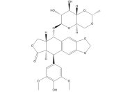 依托泊苷（33419-42-0）