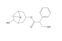 消旋山莨菪碱（17659-49-3）