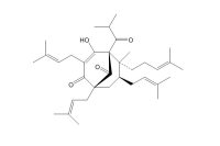 贯叶金丝桃素(11079-53-1)