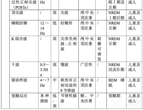 脑电图入门 基础知识汇总 神经内外 丁香园论坛