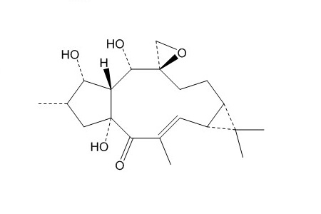 环氧续随子醇（28649-60-7）