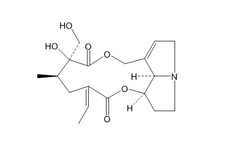光萼猪屎豆碱（15503-87-4）