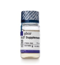 Gibco  B-27™ Supplement (50X), serum free