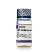 Gibco B-27™ Supplement (50X), serum free