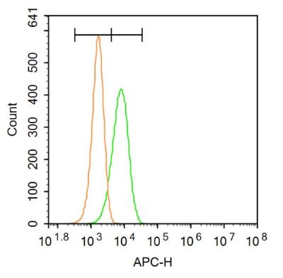 AQP3 antibody