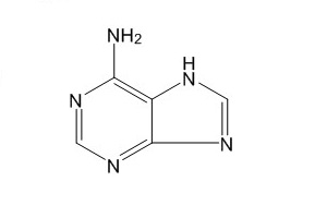 腺嘌呤（73-24-5）