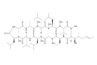 环孢菌素A（59865-13-3）