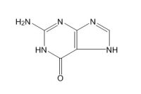 鸟嘌呤（73-40-5）