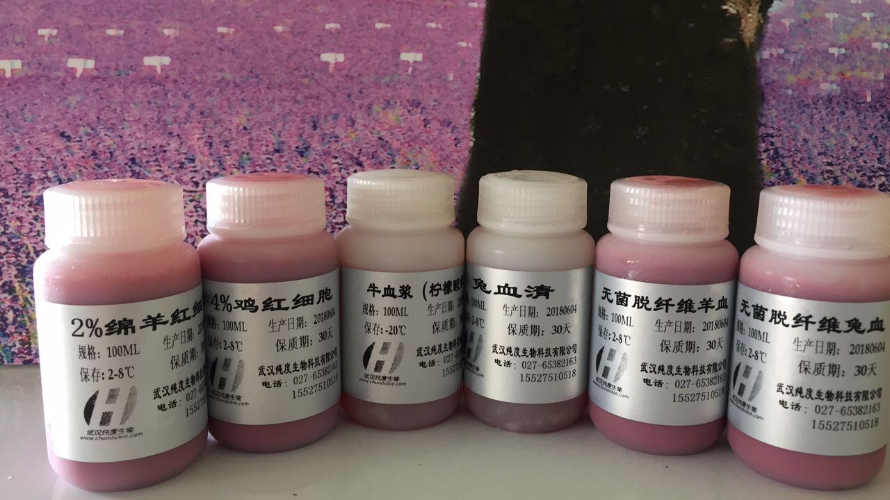 6BA5E773EE4AFC13DB3CBEA16AF28FE8 agency