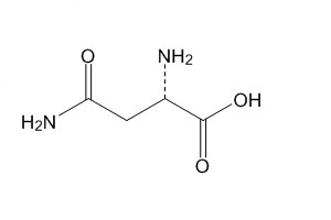 L-天冬酰胺（70-47-3）
