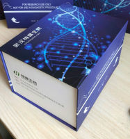 人嗜酸性粒细胞来源神经毒素(EDN)ELISA试剂盒