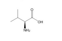 L-缬氨酸（72-18-4）