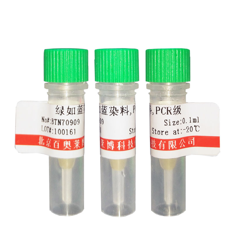 2×BaHF MasterMix(含染料) 核酸扩增(PCR)
