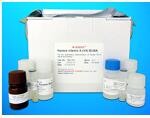 TAR DNA-binding protein 43 (TARDBP/TDP43) ELISA kit, Human