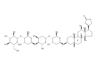 毛花苷C（17575-22-3）