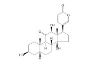 异沙蟾毒精（17008-65-0）