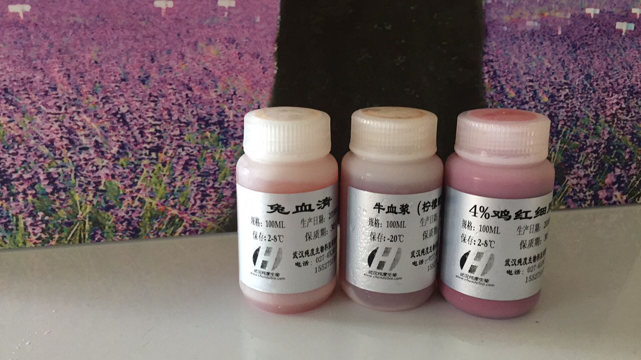 裂解马血产品图