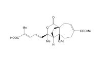 土荆皮乙酸（82508-31-4）