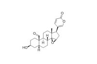酯蟾毒精（20987-24-0）