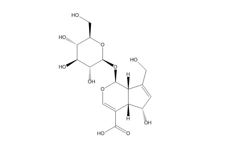 去乙酰基车叶草苷酸（14259-55-3）