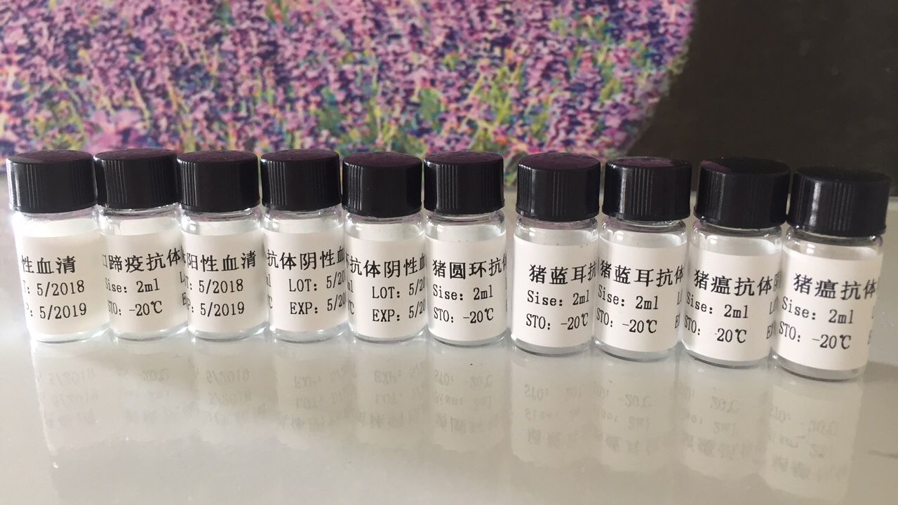 牛I型口蹄疫抗体阳性参照品