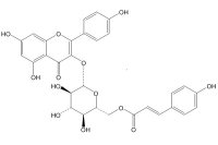 银椴苷（20316-62-5）