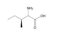 L-异亮氨酸(73-32-5)