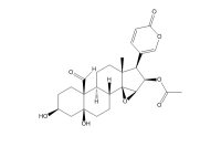 19-氧代华蟾毒它灵（24512-60-5）