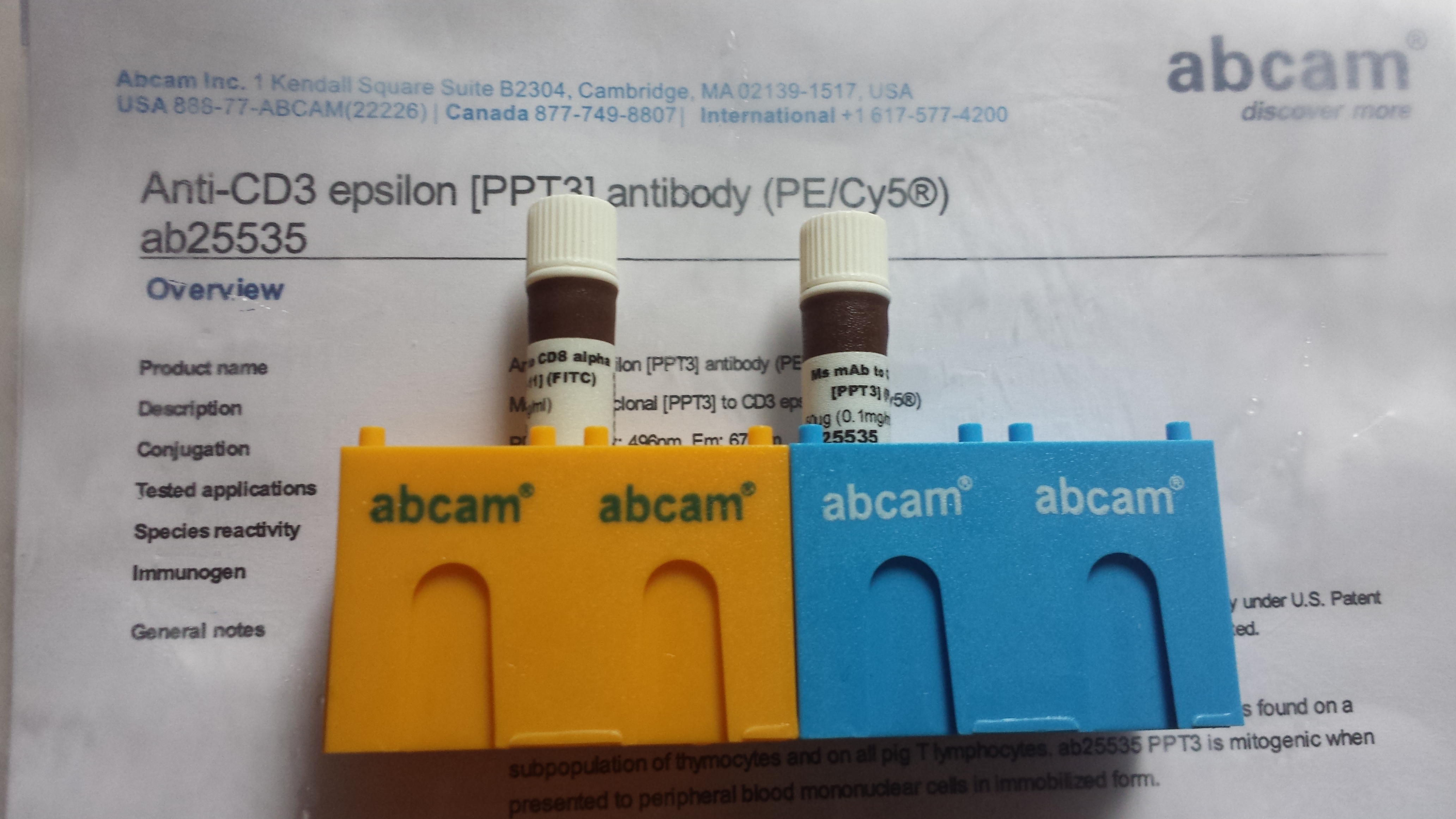 APCDD1 rabbit polyclonal antibody免疫