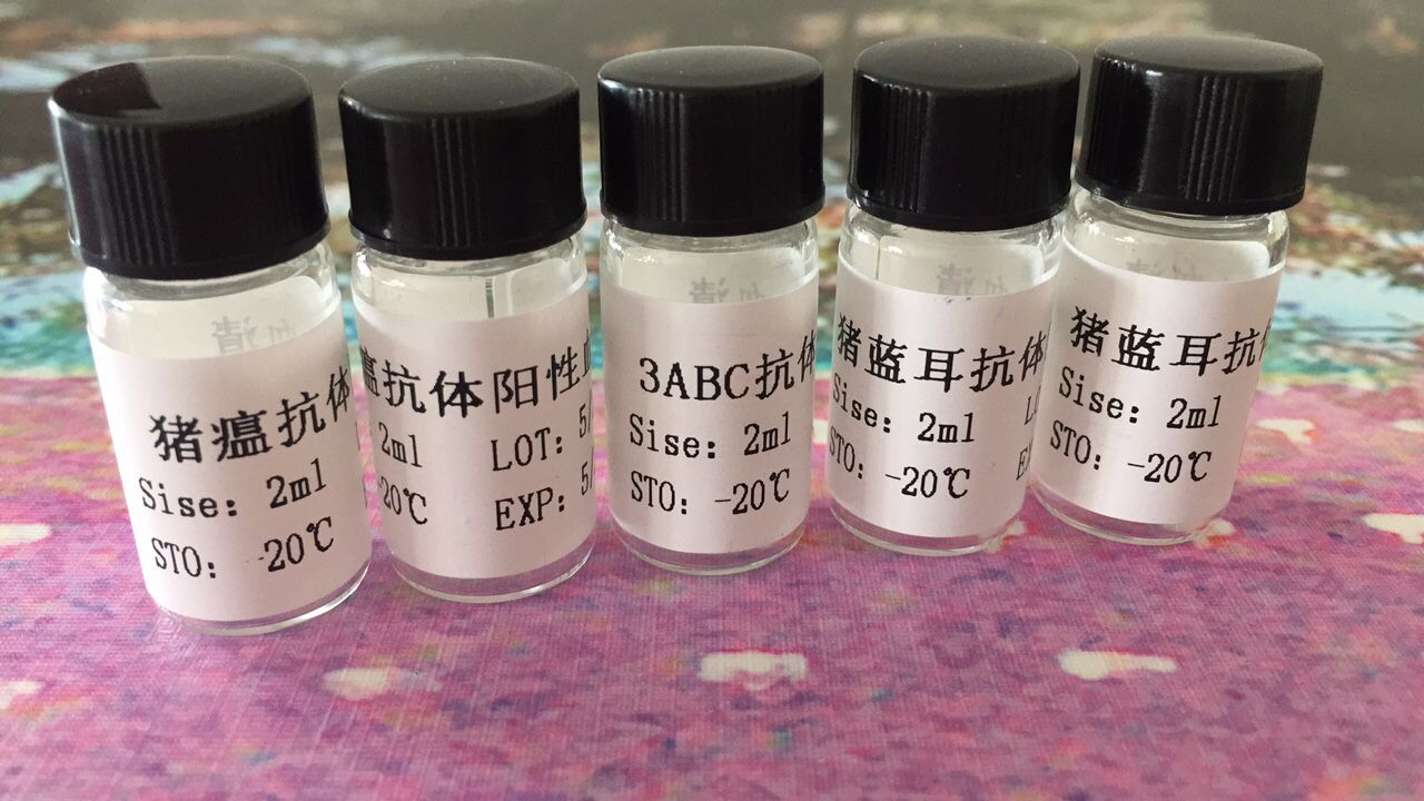 猪副猪嗜血杆菌抗体阴性血清产品图