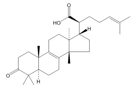 β-榄香酮酸（28282-25-9）