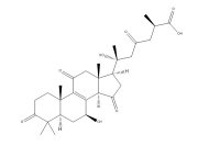 灵芝酸N（110241-19-5）