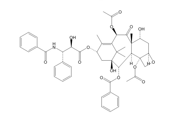 7-表紫杉醇（105454-04-4）